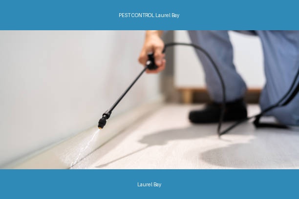 PEST CONTROL Laurel Bay